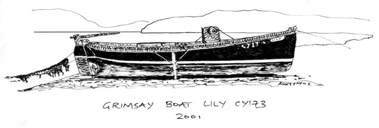 Drawing of Grimsay Boat Lily CY173, 2001.