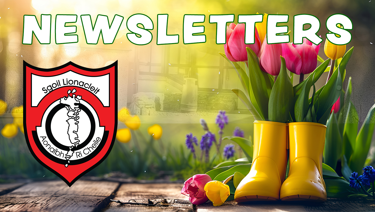 Latest School Newsletter